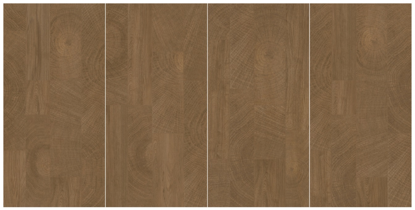 DM6N02A 時(shí)光年輪 深色